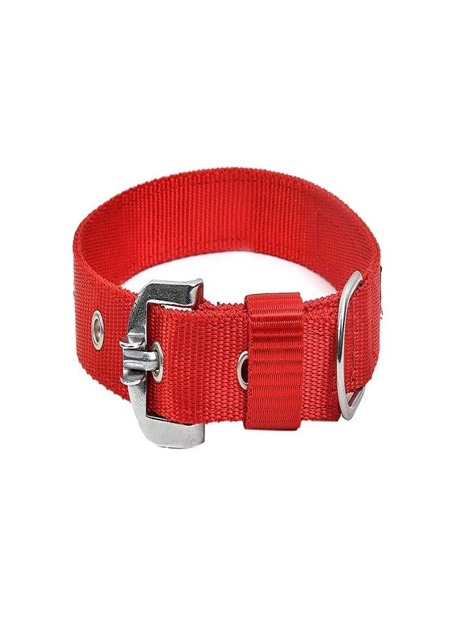 Pups&Pets طقم حبل وطوق للكلاب من Pups&Pets - طوق 1 بوصة، سمك المقود 12 مم - متوسط (أحمر، حجم المقود 1.5 متر). - Image 5